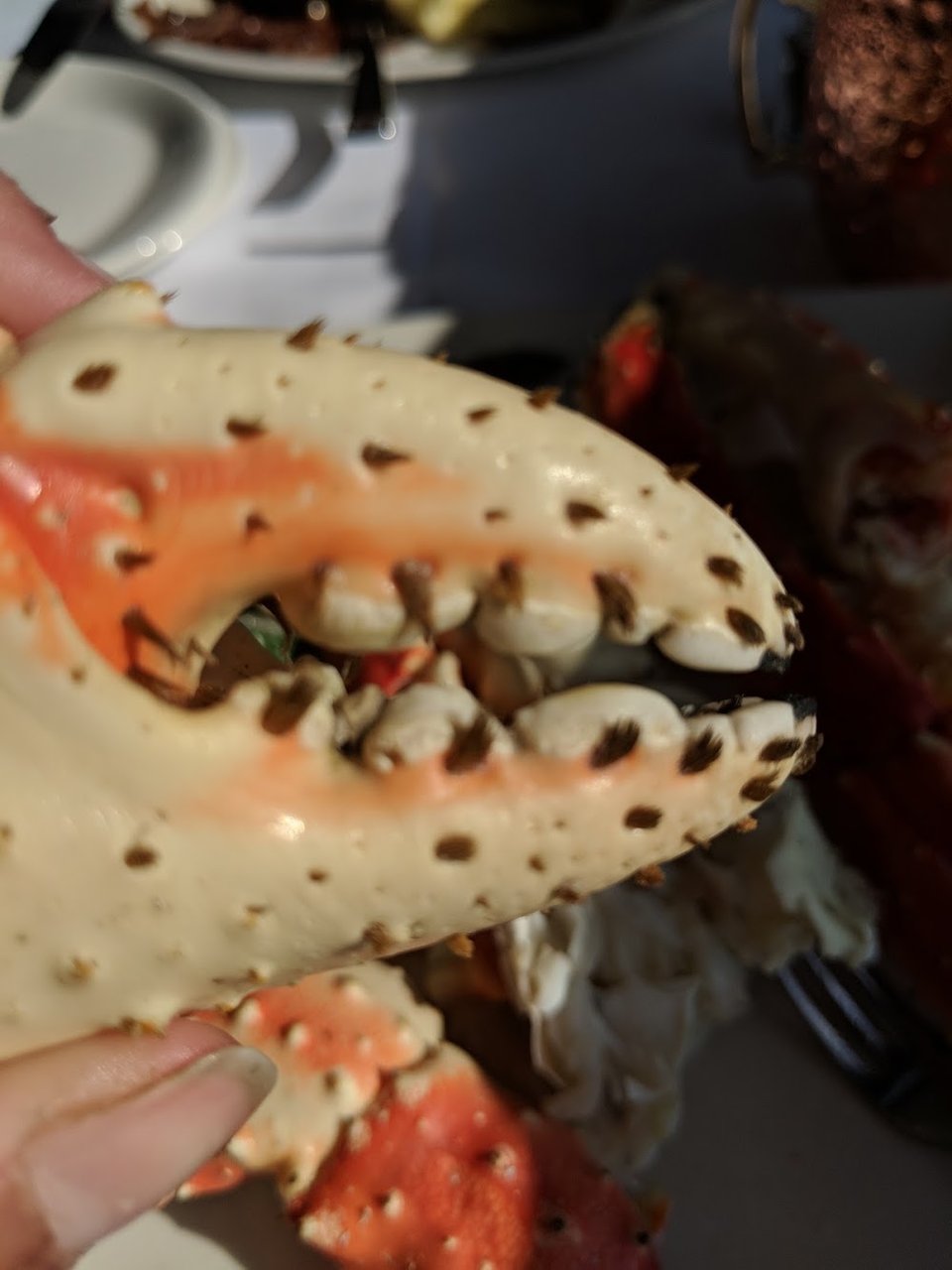 Crab Legs